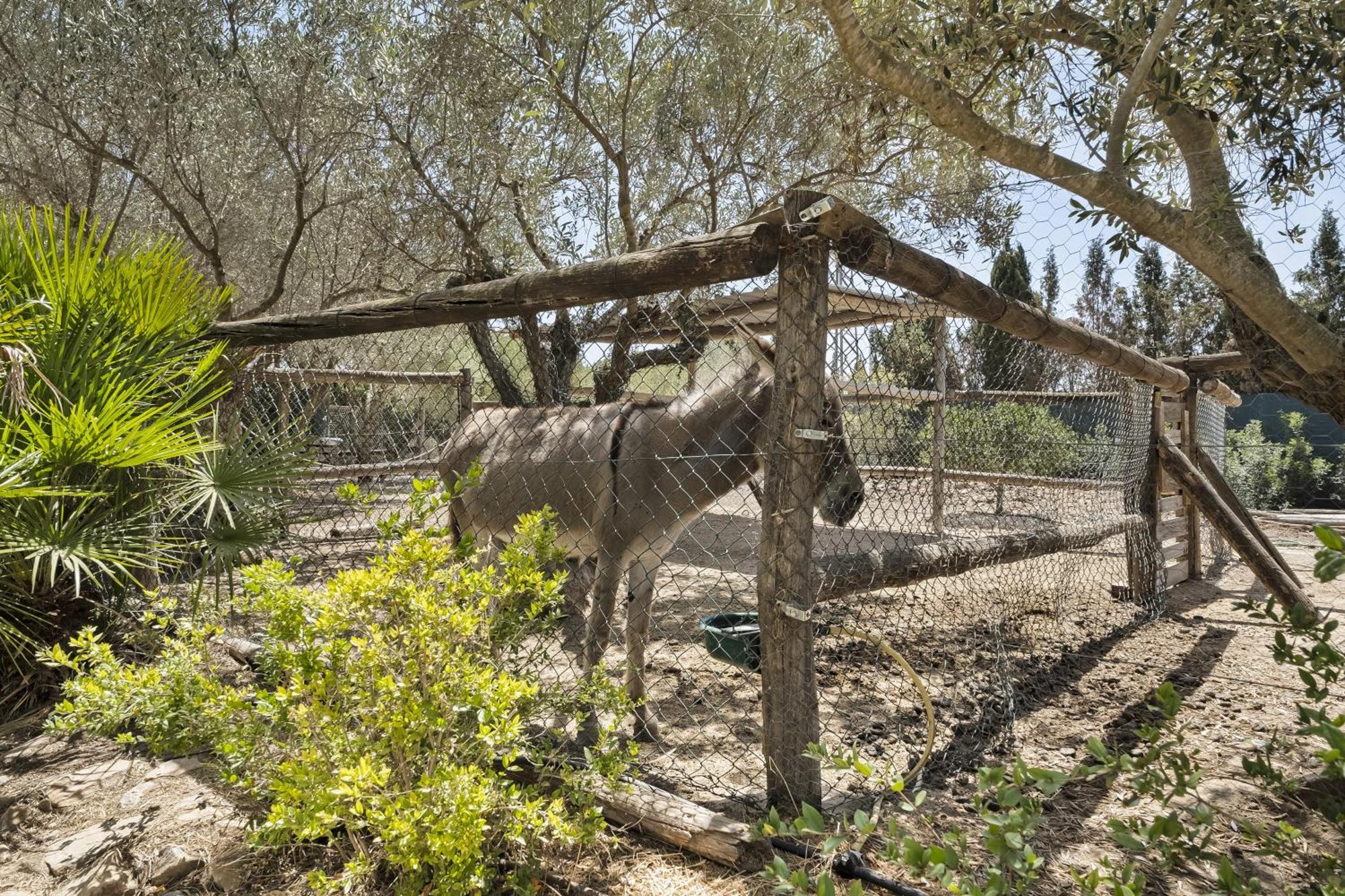 Cambiardeaires Rural Piedra Villa Pilar de la Horadada Kültér fotó